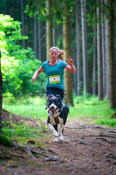 Krkonošský canicross - Jilemnice – 30. května 2026