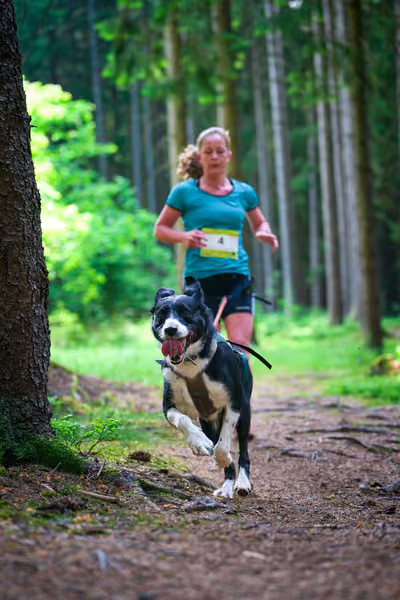 Krkonošský canicross - Jilemnice – 30. května 2026