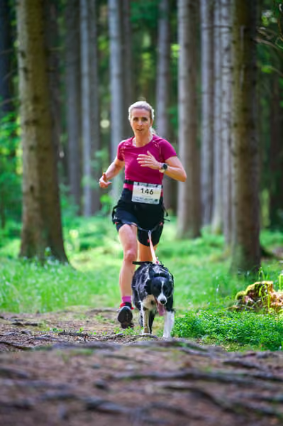 Krkonošský canicross - Jilemnice – 30. května 2026