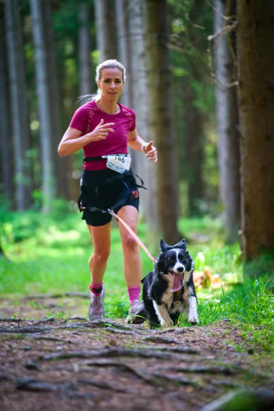 Krkonošský canicross - Jilemnice – 30. května 2026