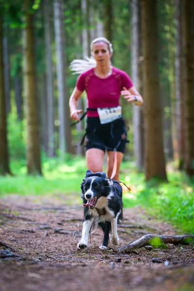 Krkonošský canicross - Jilemnice – 30. května 2026