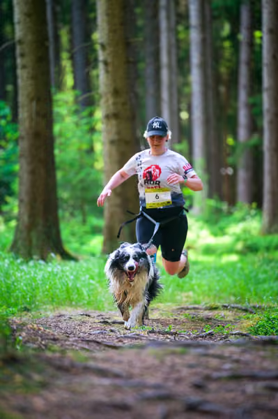 Krkonošský canicross - Jilemnice – 30. května 2026