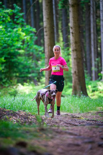 Krkonošský canicross - Jilemnice – 30. května 2026