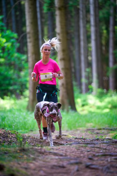 Krkonošský canicross - Jilemnice – 30. května 2026