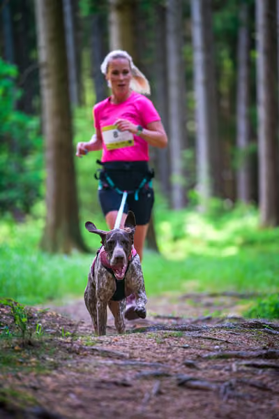 Krkonošský canicross - Jilemnice – 30. května 2026