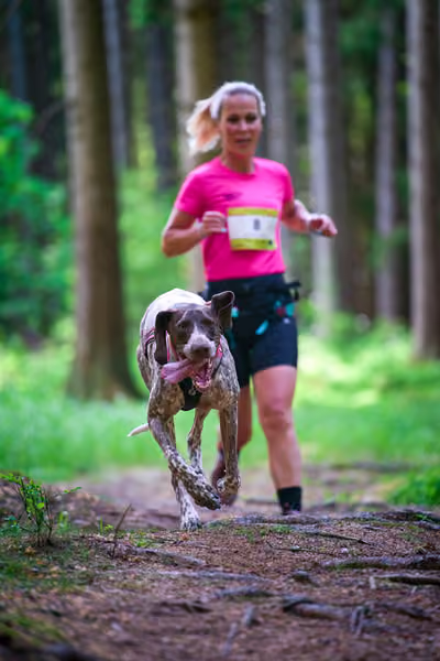 Krkonošský canicross - Jilemnice – 30. května 2026
