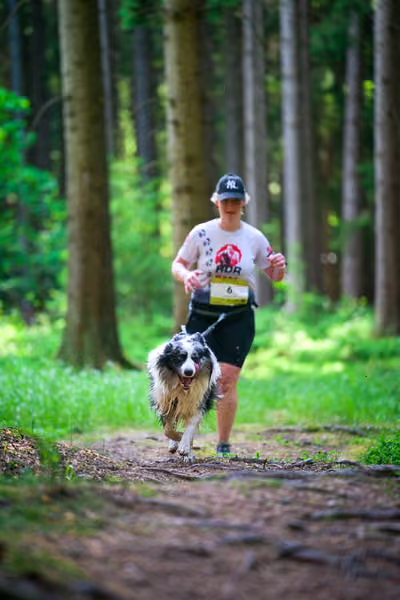 Krkonošský canicross - Jilemnice – 30. května 2026