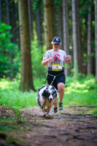 Krkonošský canicross - Jilemnice – 30. května 2026