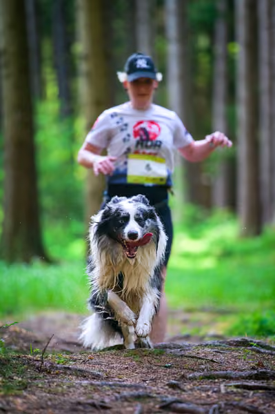 Krkonošský canicross - Jilemnice – 30. května 2026