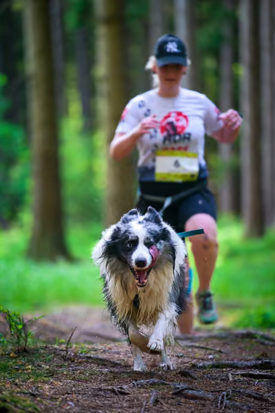 Krkonošský canicross - Jilemnice – 30. května 2026