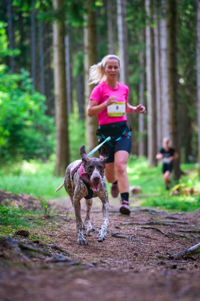Krkonošský canicross - Jilemnice – 30. května 2026