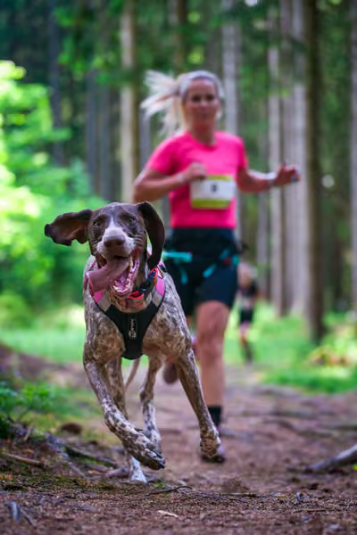 Krkonošský canicross - Jilemnice – 30. května 2026