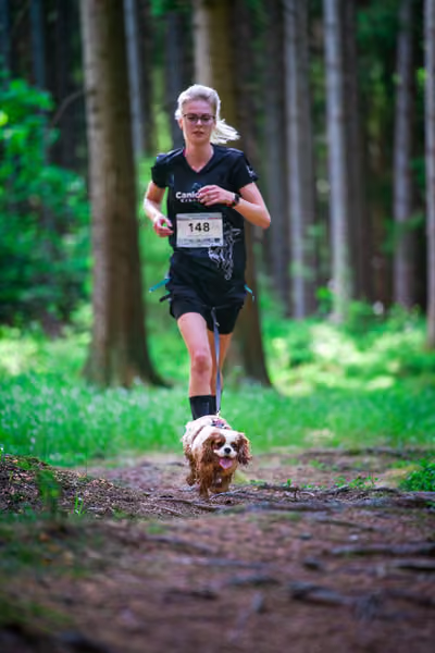 Krkonošský canicross - Jilemnice – 30. května 2026