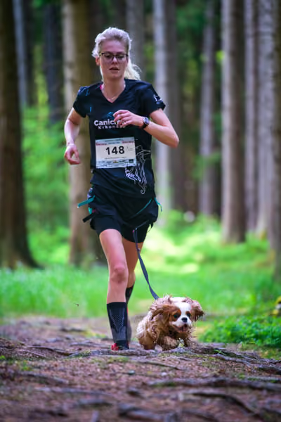 Krkonošský canicross - Jilemnice – 30. května 2026