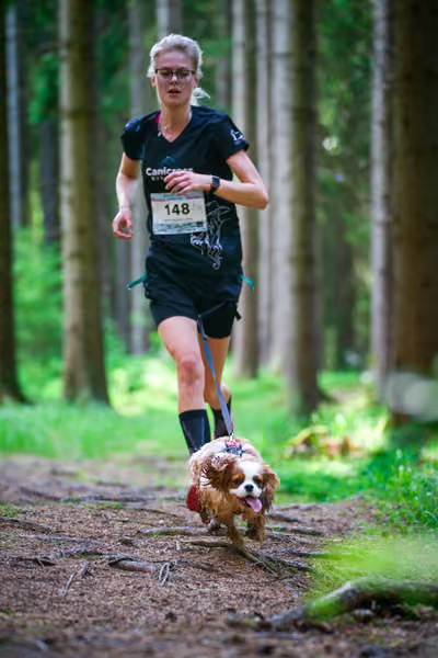 Krkonošský canicross - Jilemnice – 30. května 2026