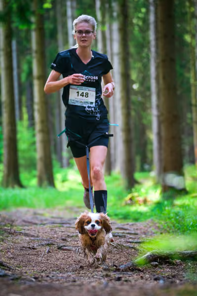 Krkonošský canicross - Jilemnice – 30. května 2026