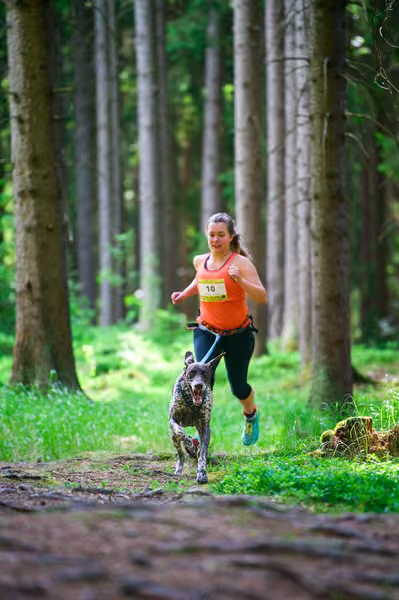 Krkonošský canicross - Jilemnice – 30. května 2026