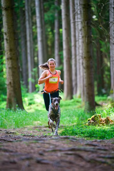 Krkonošský canicross - Jilemnice – 30. května 2026