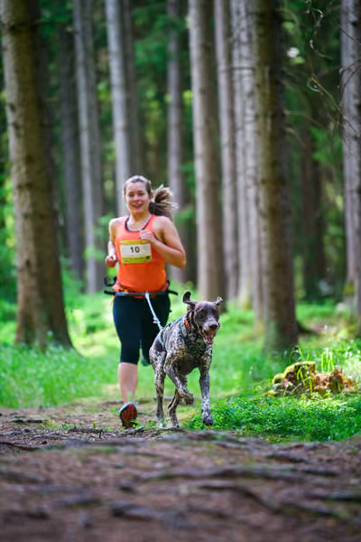 Krkonošský canicross - Jilemnice – 30. května 2026