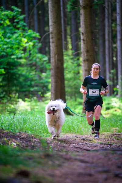 Krkonošský canicross - Jilemnice – 30. května 2026
