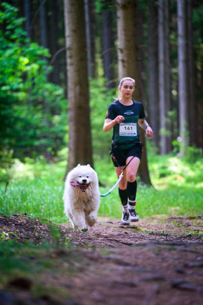Krkonošský canicross - Jilemnice – 30. května 2026