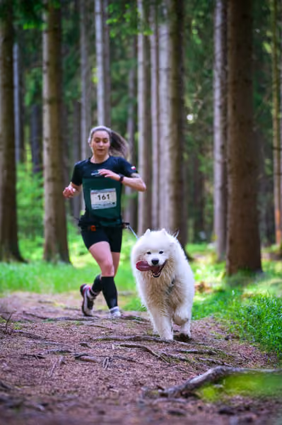Krkonošský canicross - Jilemnice – 30. května 2026