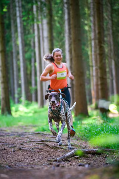 Krkonošský canicross - Jilemnice – 30. května 2026