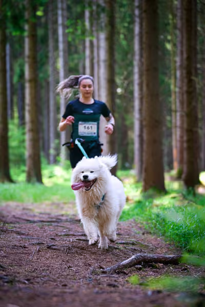 Krkonošský canicross - Jilemnice – 30. května 2026
