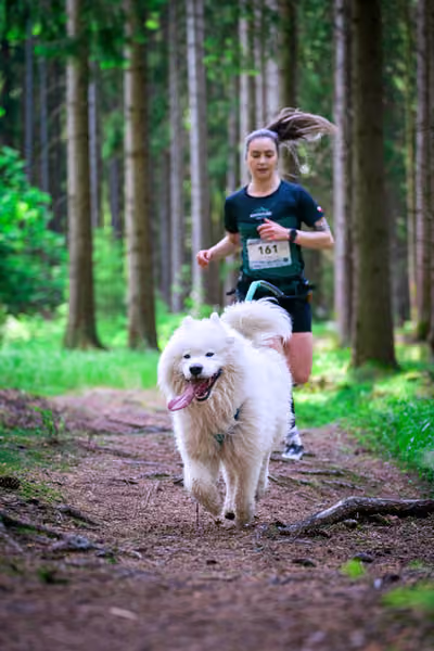 Krkonošský canicross - Jilemnice – 30. května 2026