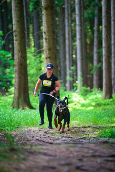 Krkonošský canicross - Jilemnice – 30. května 2026