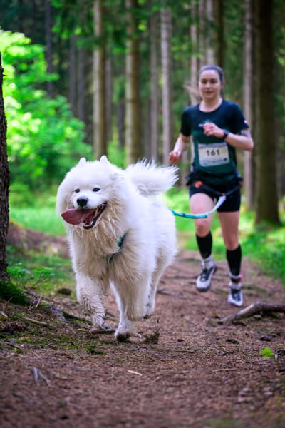 Krkonošský canicross - Jilemnice – 30. května 2026