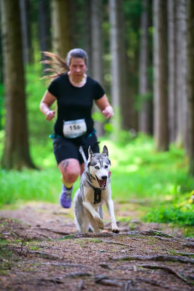 Krkonošský canicross - Jilemnice – 30. května 2026