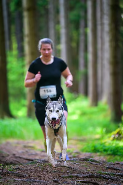Krkonošský canicross - Jilemnice – 30. května 2026