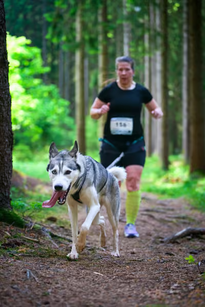 Krkonošský canicross - Jilemnice – 30. května 2026