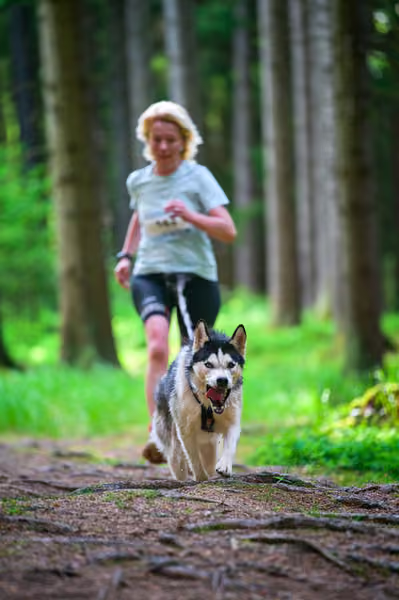 Krkonošský canicross - Jilemnice – 30. května 2026