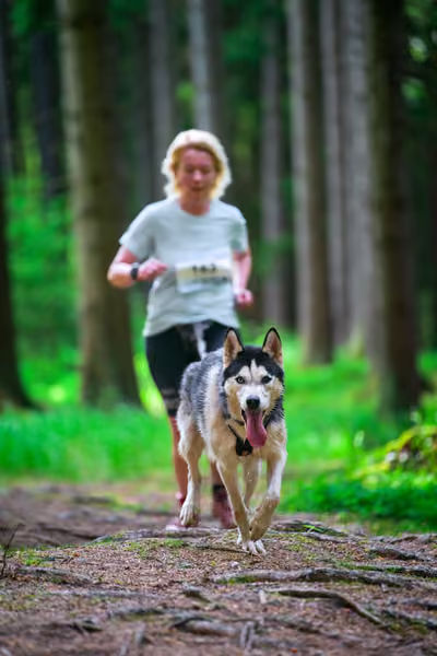 Krkonošský canicross - Jilemnice – 30. května 2026
