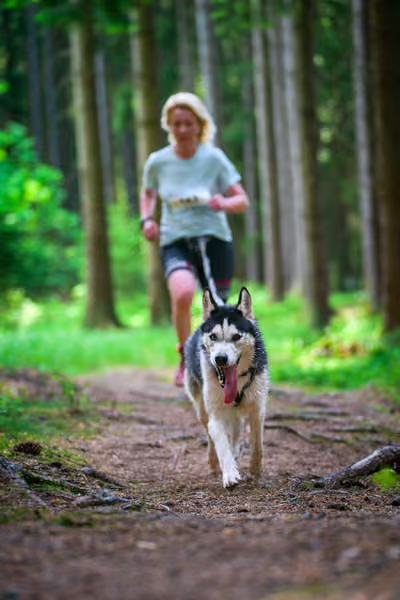 Krkonošský canicross - Jilemnice – 30. května 2026