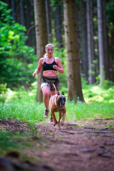 Krkonošský canicross - Jilemnice – 30. května 2026