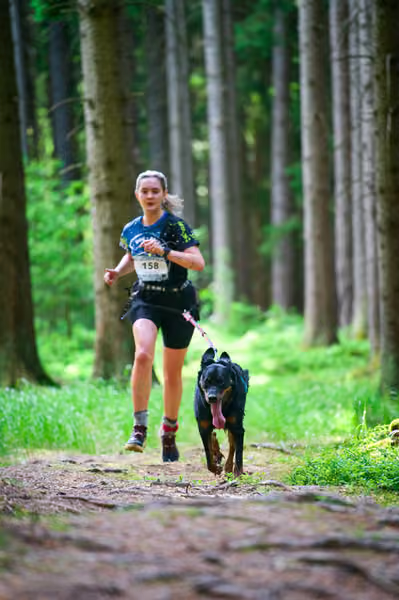 Krkonošský canicross - Jilemnice – 30. května 2026