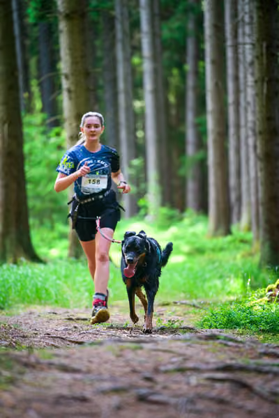 Krkonošský canicross - Jilemnice – 30. května 2026