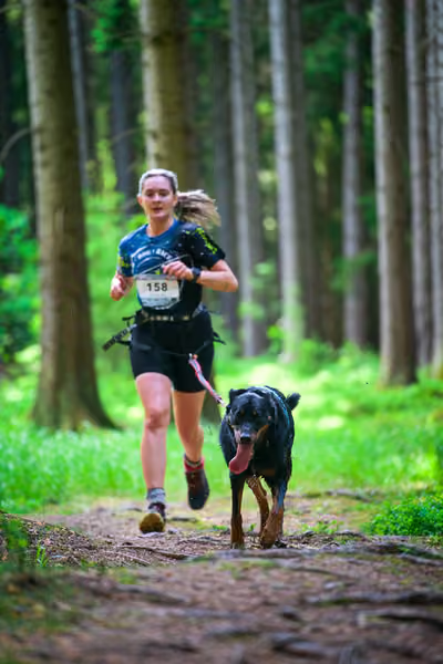 Krkonošský canicross - Jilemnice – 30. května 2026