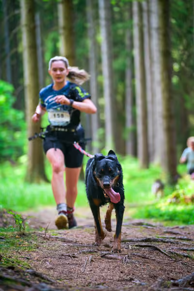 Krkonošský canicross - Jilemnice – 30. května 2026