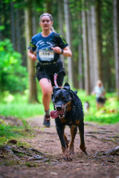 Krkonošský canicross - Jilemnice – 30. května 2026