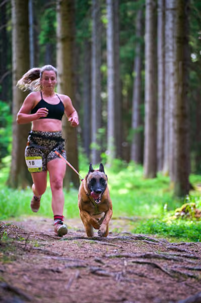 Krkonošský canicross - Jilemnice – 30. května 2026
