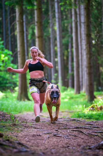 Krkonošský canicross - Jilemnice – 30. května 2026