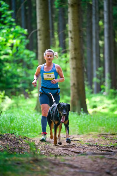 Krkonošský canicross - Jilemnice – 30. května 2026