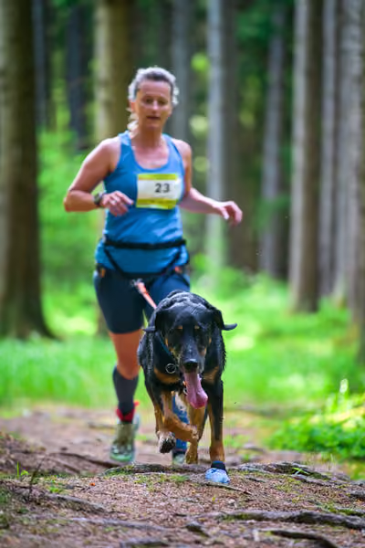 Krkonošský canicross - Jilemnice – 30. května 2026