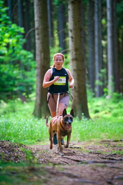 Krkonošský canicross - Jilemnice – 30. května 2026