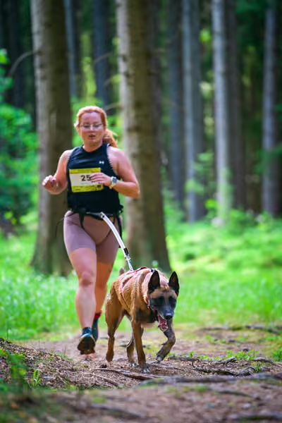 Krkonošský canicross - Jilemnice – 30. května 2026