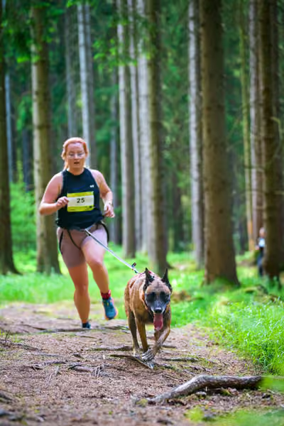 Krkonošský canicross - Jilemnice – 30. května 2026